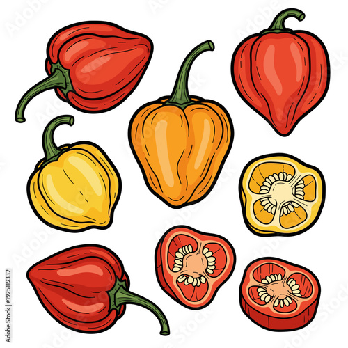 Various colorful habanero peppers whole and sliced with seeds Isolated transparent background ( include cut-out PNG file )