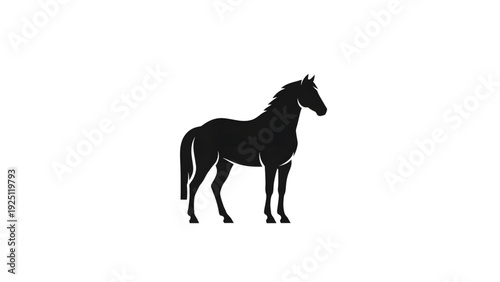 Majestic horse silhouette standing proudly