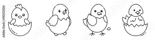 Four black and white chicks hatching from eggs in an adorable pattern