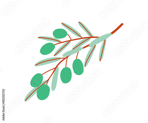 Flat doodle green branch olives. Hand drawn bold illustration.