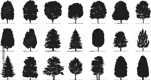 Collection of black tree silhouettes with varied shapes and foliage detail. Diverse deciduous and coniferous tree forms displayed against a white background