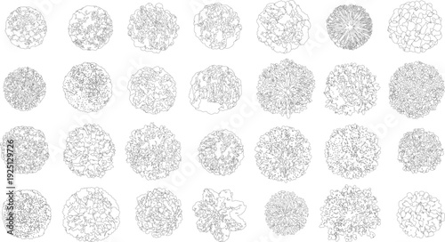 Collection of black and white of various stylized trees seen from above view overhead aerial