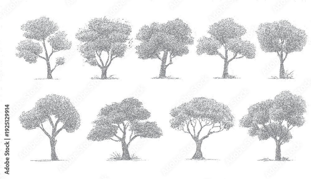 Fototapeta premium Eight stippled grey trees with textured foliage and branches on a white background stippling