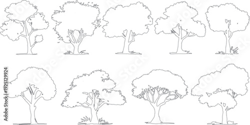 Collection of eight distinct tree outlines in varying shapes and sizes with simple ground detail nature