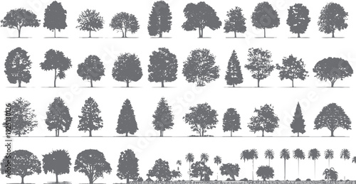 Collection of diverse tree silhouettes in various shapes and sizes. Diverse deciduous and coniferous trees are depicted in grey tones
