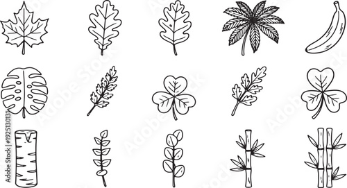 Collection of twenty different simple outline botanical leaf icons representing tropical foliage maple oak olive and various natural elements
