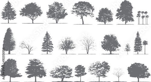 Collection of diverse deciduous and coniferous trees in silhouette form. Various tree types are depicted with detailed foliage and branch structures