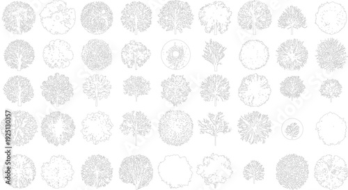 Collection of diverse black and white tree view outlines with varied foliage and branch structures