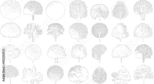 Collection of black and white line trees with varied foliage and trunk styles nature botanical plant