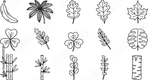 Collection of twenty different simple outline botanical leaf icons representing tropical foliage maple oak olive and various natural elements