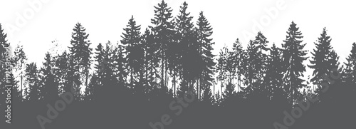 Dark grey silhouette of dense pine forest trees against a white background