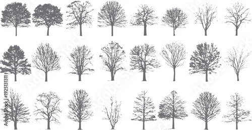 Collection of twenty four grey deciduous trees in silhouette showing varied branch structures and leaf density