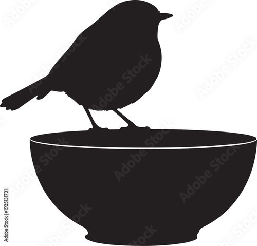 European Robin on the branch in silhouette on white background.