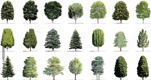 Collection of diverse green trees with varied shapes and foliage displayed against a white background