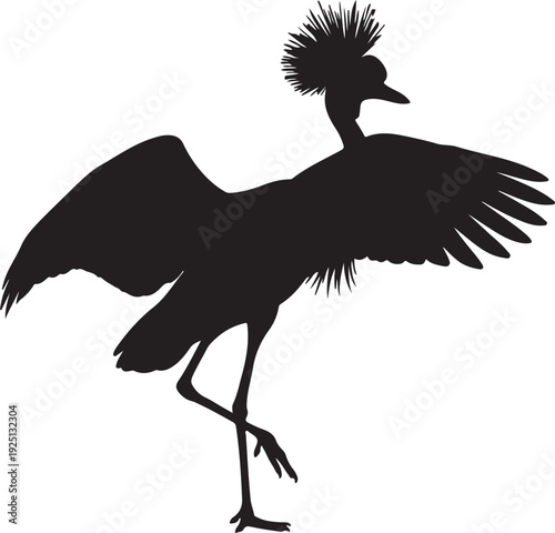 Grey Crowned Crane in silhouette on white background