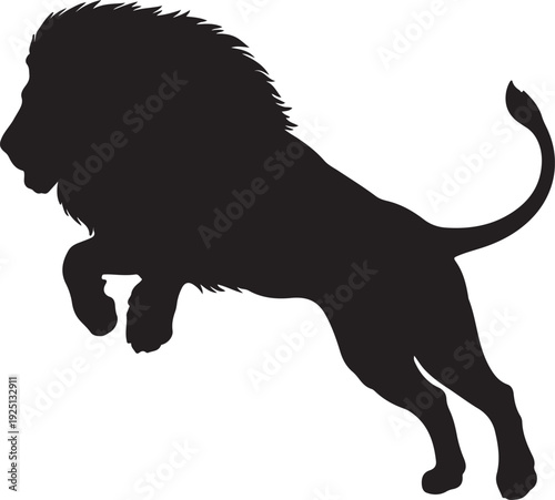 lion in jumping look in silhouette on white background.
