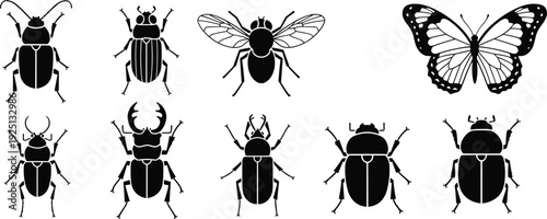 Insect silhouettes vector illustration, beetle and butterfly artwork, entomology design graphics, black and white clipart, biodiversity pattern, nature symbol