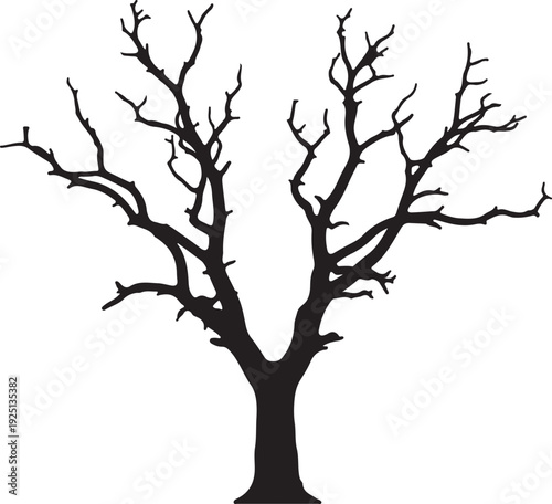 Tree in silhouette on white background.