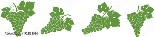 Green grape bunch silhouettes collection with leaves isolated on white background, fresh vineyard fruit vector illustration set for wine branding design