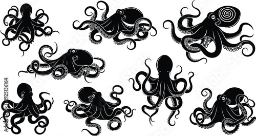 Octopus vector illustration, marine animal artwork, black and white design, ocean creature graphics, tentacle art pattern, underwater wildlife clipart