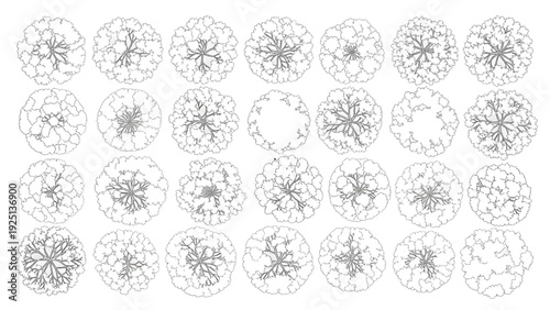 Large Deciduous Tree Canopies Architectural Plan View Top Outline Vector Set