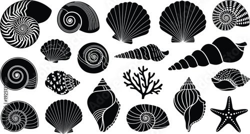 Sea shell silhouettes set, black vector ocean icons, starfish coral nautilus scallops collection, beach nautical design elements, isolated summer underwater,