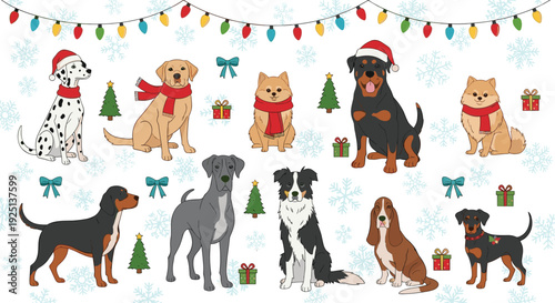 Diverse dogs wearing Christmas clothes collection, dalmatian labrador rottweiler pomeranian border collie and dachshund in santa hats, cad drawing flat vector illustration.