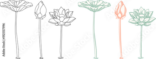 Minimalist lotus flower etching set with leaf, bud, and blooming blossom,symbolizes purity and spiritual growth,for high-end branding, wellness logos, and sophisticated packaging designs.
