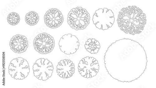Architectural Plan View Tree Canopy Outlines Large Deciduous Trees Vector Pack