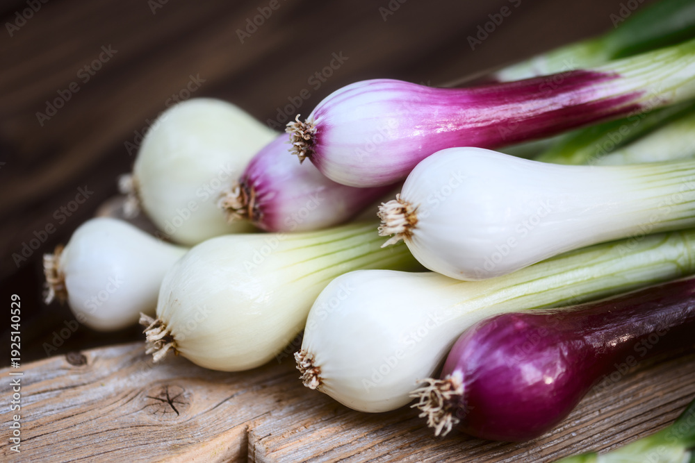 Obraz premium Spring onions placed on wooden board over dark table, minimal food styling. Organic scallions close perspective, fresh seasonal ingredient
