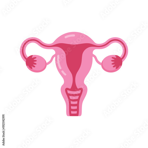 Women health awareness poster, detailed uterus illustration, clinic outreach event branding, gynecology education session materials, reproductive anatomy infographic vector