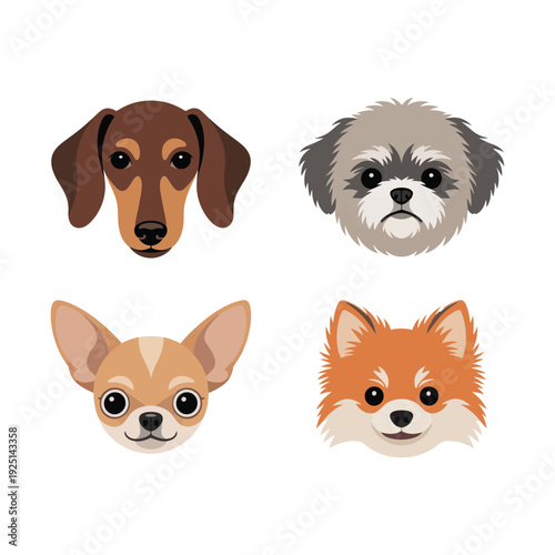Dog face icons with dachshund, fluffy terrier and fox puppy, adorable pet portrait vector for sticker, logo, kids design