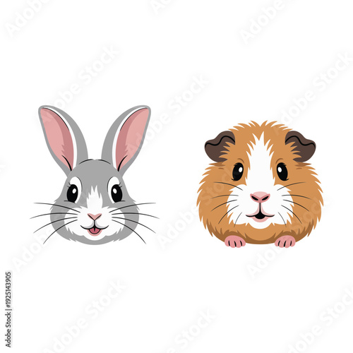 Cute rabbit and guinea pig faces illustration, pet adoption fair poster, small animal care workshop session, kids coloring station graphics