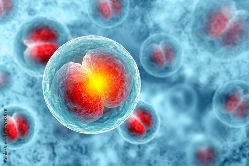 Canvastavla Human cell or Embryonic stem cell microscope background