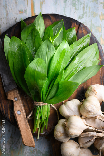 Fresh wild garlic leaves arranged on cutting board with kitchen knife and garlic bulbs. Raw garlic greens shown in food preparation scene. Flat lay, top view