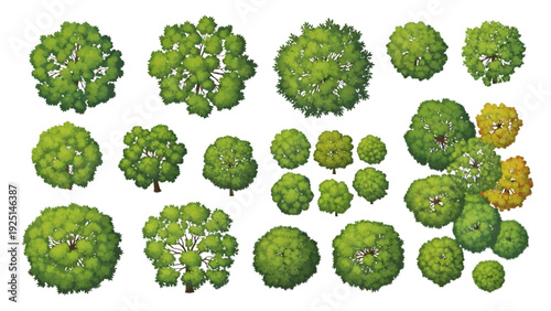 Landscape Design Deciduous Tree Canopy Top View Plan Vector Bundle