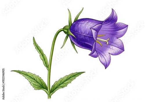 A pixelated purple flower with green leaves on a white background. isolated on transparent background, png