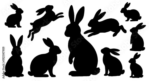 Hare silhouette set. Vector illustration. rabbit and hare silhouettes