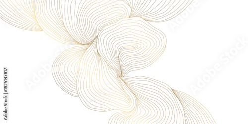 Elegant gold line floral pattern on white background, abstract waves, flowing curves, botanical elements. Luxury vector illustration, Japanese, Chinese ornament, geometric deco style, premium