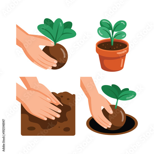 Hands planting seedling, spring gardening workshop, community garden event, soil preparation session, transplant tools, beginner friendly urban farming vector
