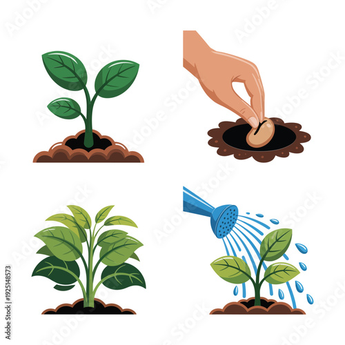 Seed sowing and watering illustration, young plant care icons, spring garden day poster, germination workshop session, transplanting tutorial for beginners