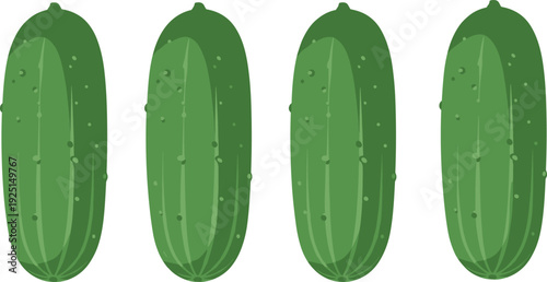 Fresh green cucumber illustration set, whole vegetable collection, flat food vector design for grocery, nutrition, farming, packaging, and healthy lifestyle projects