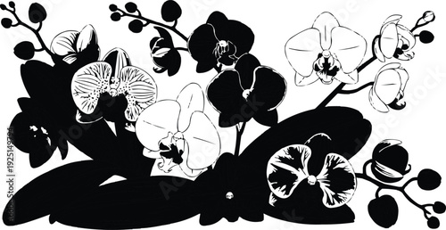 vector graphic of several orchid flowers and buds, presented in a striking black and white color scheme against a white background. This design choice creates a high-contrast effect that emphasizes 