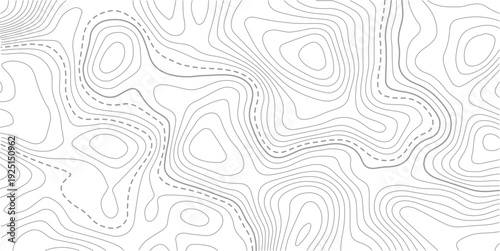 Abstract pattern with lines seamless pattern and topography. The stylized height of the topographic map contour in lines and contours isolated on transparent.