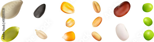 Realistic set of healthy organic seeds and grains for planting and food design. Pumpkin, corn, sunflower, wheat, beans, peas. Collection 3d realistic vector elements.