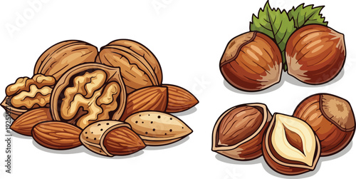 Assortment of walnuts almonds and hazelnuts with green leaves on white background food