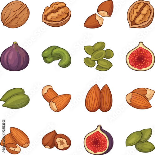 Collection of assorted nuts and figs in a cartoon style walnut hazelnut almond cashew