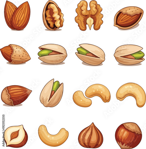 Collection of assorted nuts including almonds walnuts pistachios and cashews hazelnut