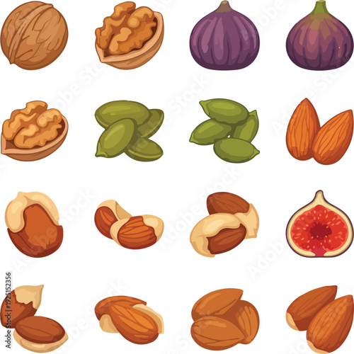 Collection of assorted nuts and figs illustrated in a flat style walnut almond pumpkin seed