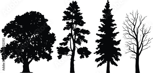 Tree silhouettes set, diverse species, coniferous evergreen, broadleaf deciduous, leafless winter tree, foliage patterns, botanical illustration, vector art, black silhouette